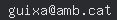email