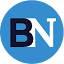 biznews.com