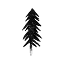 daringwanderer.com