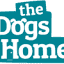 dogshome.net