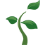 obstbau.org