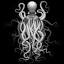 octopusdns.com