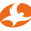phoenix-fly.com