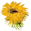 vangoghexhibit.ca