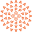 aapq.org