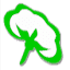 c-koton.com