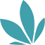 cancersupport.org.au