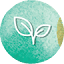 livnot.org