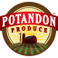 potandon.com