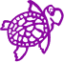 purpleturtle.co.uk