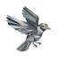 sparrowwallet.net