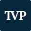 theviewersperspective.com