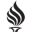 torchweb.org