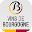 vins-bourgogne.fr