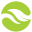 virogreen.in