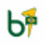 bandeira1.com.br