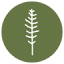 betulastuff.com