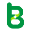 bimg.ai