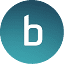 broadvoice.com
