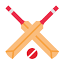 cricwatch.io