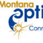 mt-opticom.com