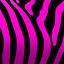 pinkzebramusic.com