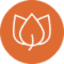 pioligo.com