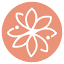 renospine.com