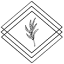 seetheharvest.com