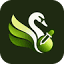 swawn.com