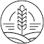 thebarleytea.com