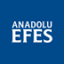 anadoluefes.com