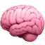 behaviorfacts.com