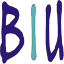 biu.edu.in