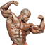 muskulnamasa.com