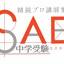 sae-chugakujuken.com