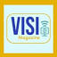 visimag.com