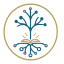 webhomeopath.com