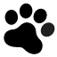 blackdogs.cz