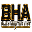 blazinhotartist.com