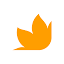 borda.org.br