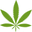 chroniccannabis.co.za
