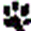 coondawgs.com