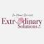 extrodinarysolutions.net