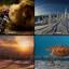 gallery2.ru
