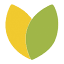 lemonlimeadventures.com