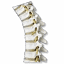 matthewsfamilychiropractic.com
