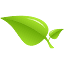 peacefulmind.com.hk