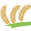 sbrtuzlata.com