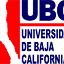 ubc.edu.mx